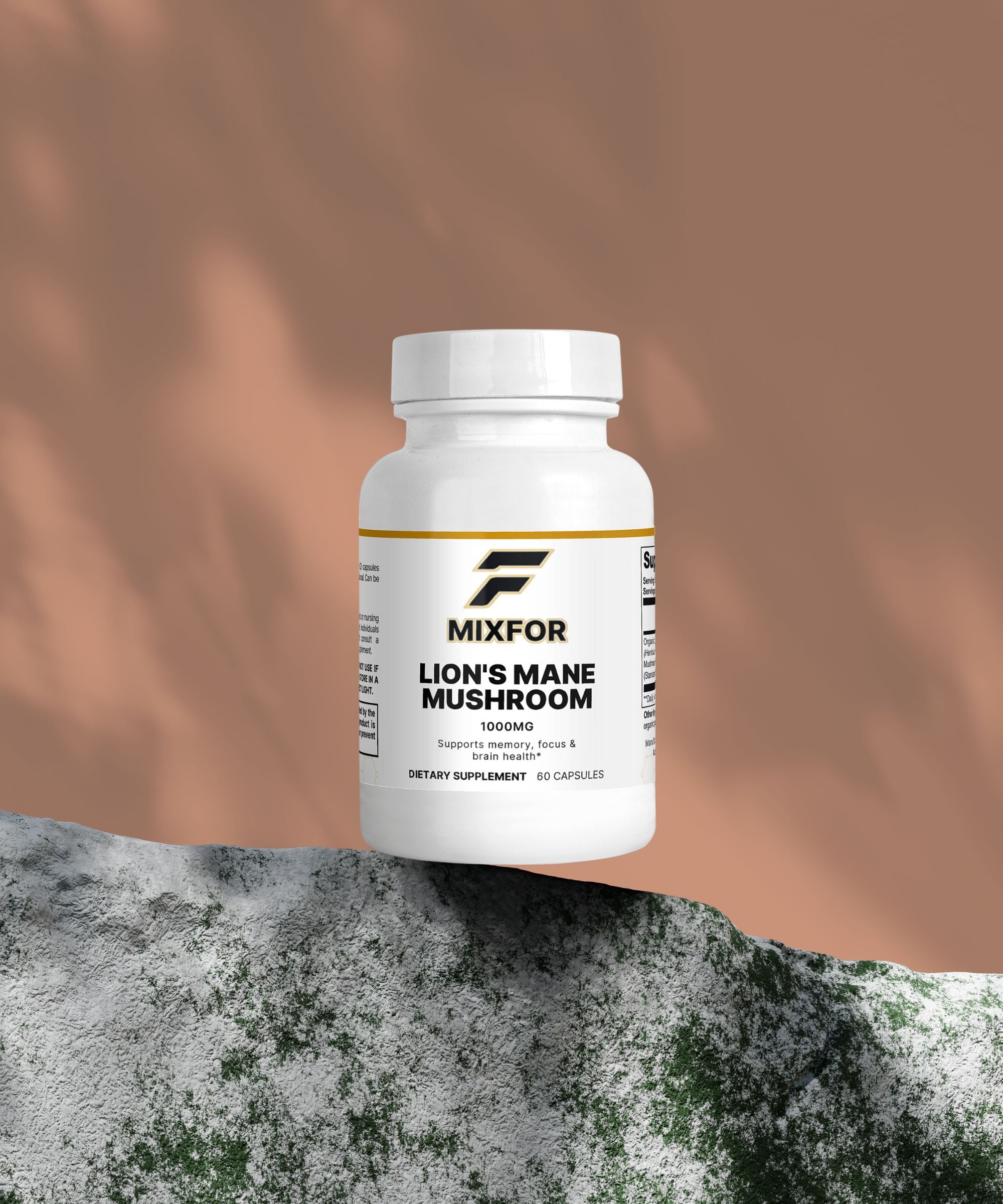 Lion's Mane Mushroom